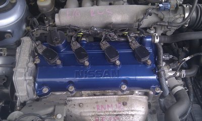 IMAG0230.jpg