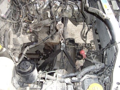 IMGP6225.JPG