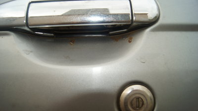 DSC00764.JPG