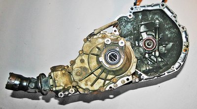 1 015.jpg