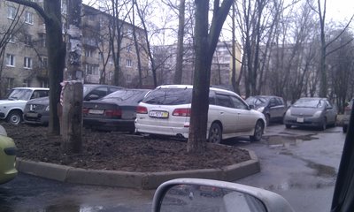 IMAG0379.jpg