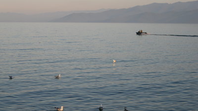 IMG_0852.JPG