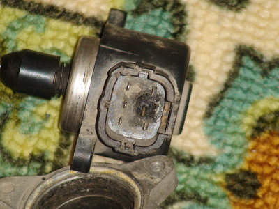 DSC04303.JPG