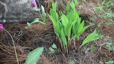 DSCF8261.JPG