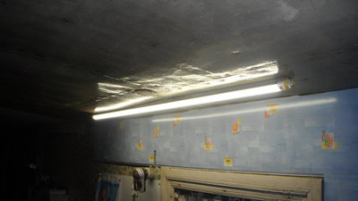 DSCF8297.JPG