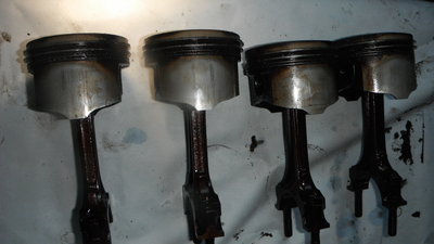 DSCF8353.JPG