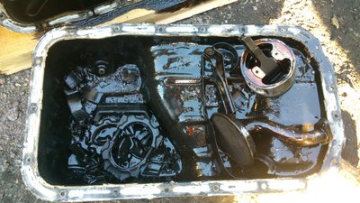 DSC_1152[1].jpg