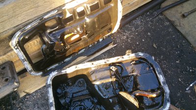 DSC_1155[1].jpg