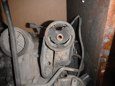 DSCF0204.JPG