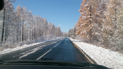 DSC_1666[1].JPG
