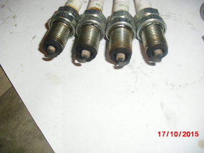 CIMG0324.JPG