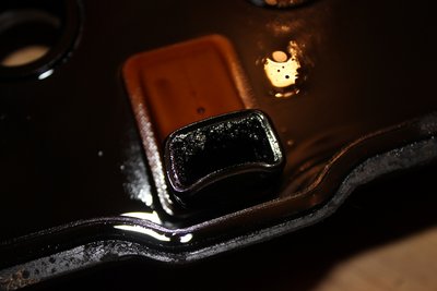 IMG_9684.JPG