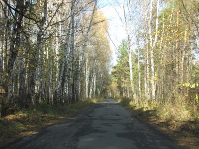 115.jpg