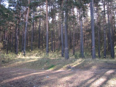 129.jpg