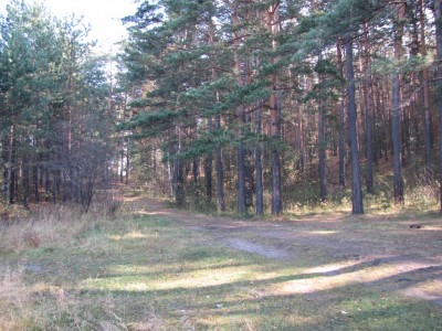 133.jpg