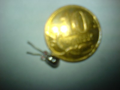 DSC00209.JPG