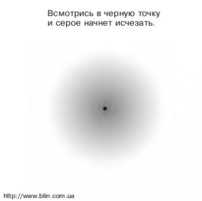 ТЕСТ 2.jpg