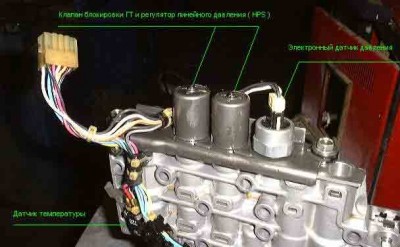 arv_13_1.jpg