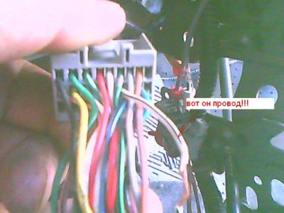 IMG0097A.jpg