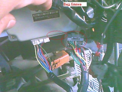 IMG0096A.jpg