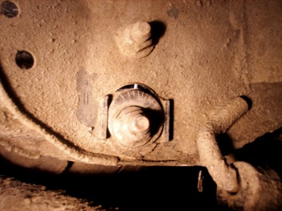 P1010001.JPG