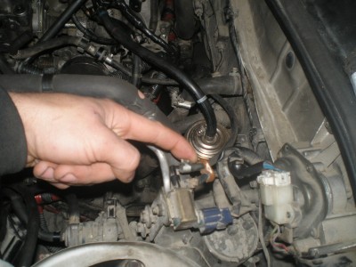 PA280003.JPG