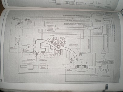 PC250015.JPG