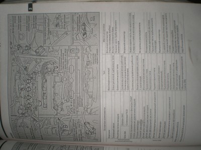 PC250017.JPG