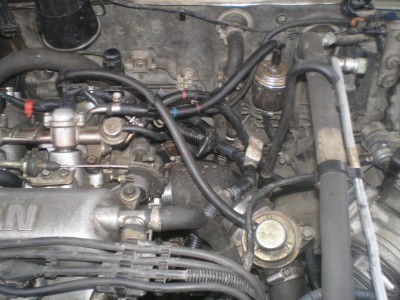 PC250020.JPG