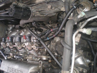 PC250021.JPG