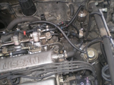 PC250023.JPG