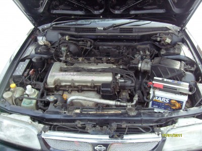 S7300049.JPG
