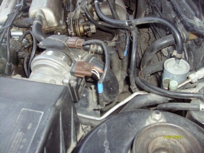 S7300057.JPG