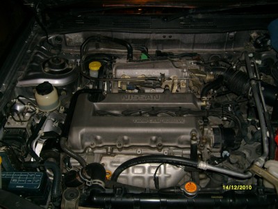 S7305398.JPG
