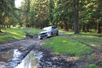 DSC_0107.jpg