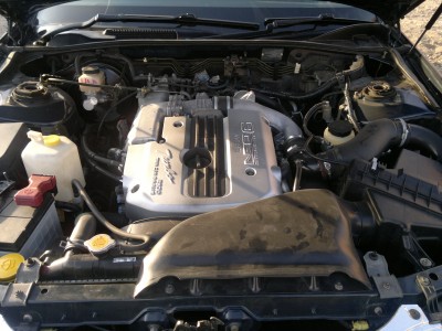 2011-10-25-073.jpg