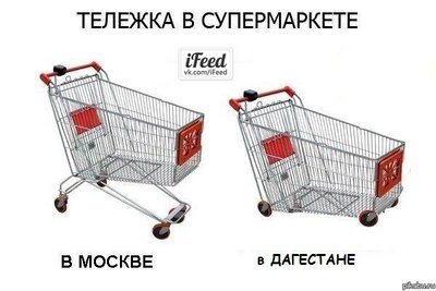 x_85cc55dc.jpg