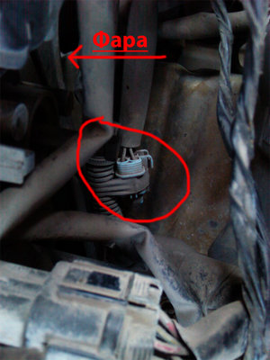 IMG_17-02-2012_174727.jpg